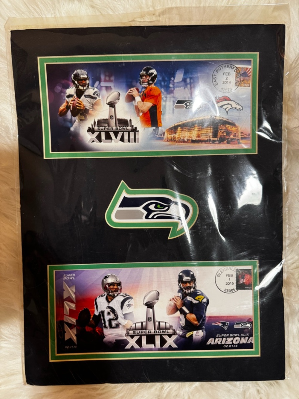 Seattle Seahawks Super Bowl XLVIII & XLIX Collector Display Plaque Decor - Picture 3 of 10